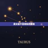 属女鼠不宜婚配的属相(介绍哪些生肖与女鼠不合适)