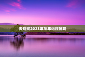 麦玲玲2023年兔年运程属鸡，麦玲玲2023年运程属鸡运程