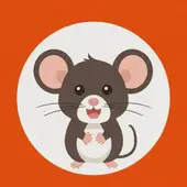 属鼠2025运势全年运势怎么样：属鼠未来三年运势大揭秘