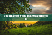 2020年房价会大涨吗 明年是买房的好时机吗