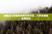婚姻合八字算命免费万年万历，八字合婚姻免费测试