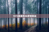 1973年属牛46岁的命运