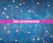 属羊人牛年运程(如何)