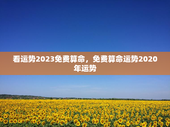 看运势2023免费算命，免费算命运势2020年运势