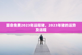算命免费2023年运程猪，2023年猪的运势及运程