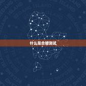 合婚测试免费测试打分(了解你们的婚姻前途)