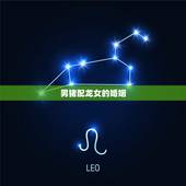 男猪配龙女婚姻好不好(讨论爱情是否能超越种族区别)