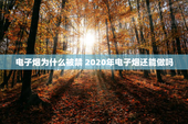 电子烟为什么被禁 2020年电子烟还能做吗