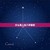 人生八字算命免费测试(介绍你的命运)