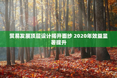 贸易发展顶层设计揭开面纱 2020年效益显著提升