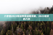 八字测2023年运势及运程详解，2023年好的八字
