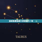 算命免费生辰八字财运八一年(介绍2023年财运趋势)