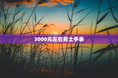 3000元左右男士手表