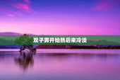 双子男开始热后来冷淡