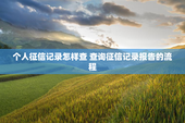 个人征信记录怎样查 查询征信记录报告的流程