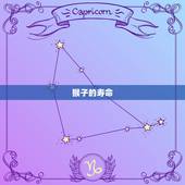 2023年猴子多少岁(猴年将至猴子们即将迎来几岁生日)