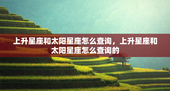 上升星座和太阳星座怎么查询，上升星座和太阳星座怎么查询的