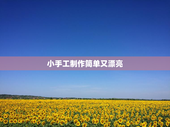 小手工制作简单又漂亮