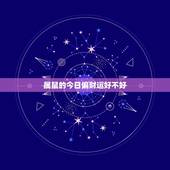 属鼠的今日偏财运好不好(奇缘阁介绍)