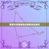 男狗女虎婚姻是否相配财运如何(介绍婚姻配对与财富运势)