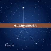 十二生肖全集免费观看(精彩不容错过)