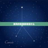 属狗的配偶属相是什么(十二生肖配对大全)