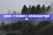 王思聪一个月消费多少 王思聪妈妈财产很多吗