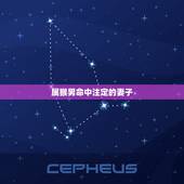 属猴男命中注定的妻子(根据八字命理分析)