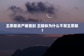 王思聪资产被查封 王健林为什么不帮王思聪？
