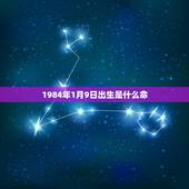 1984年1月9日出生是什么命(介绍你的命运轨迹)