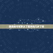 属虎的今年多大了属羊的几岁了啊(如何算出属相年龄)