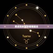 男虎和女鼠是几等婚姻(如何介绍这种组合)