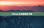 tfboys之未婚妻张子枫