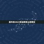 属牛的2023年运势怎么样呢女(牛女在2023年的财运、感情和事业如何)