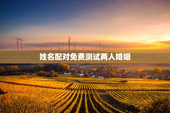 姓名配对免费测试两人婚姻，姓名配对测姻缘免费测试网