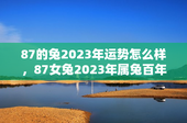 87的兔2023年运势怎么样，87女兔2023年属兔百年难遇