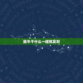属牛干什么一碰就发财(介绍属牛人的财运密码)