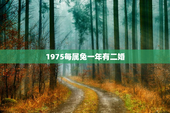 1975每属兔一年有二婚