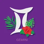 美国神婆今日明日星座运势解析：12星座速查指南