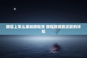 微信上怎么添加微粒贷 微粒贷提前还款的坏处