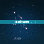 属狗的三合属相是什么(介绍狗、兔、马三合的奥秘)