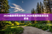 2020金融危机会来吗 2020是通货膨胀还是紧缩