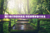哪个银行存款利息高 存款到哪家银行安全