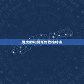 属虎的与属兔的相配吗(解密属相配对看看虎兔缘分如何)