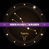 宋韶光2023年十二生肖运程羊(幸运之年财运亨通)