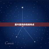 属牛属鸡相配婚姻如何(幸福美满的方法)