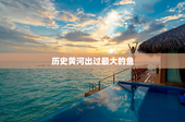 历史黄河出过最大的鱼