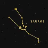 每日免费一签一卦解析指南：三分钟掌握周易实用技巧