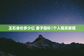 王石身价多少亿 妻子田朴珺个人简历家境