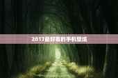 2017最好看的手机壁纸